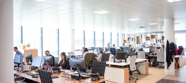 A medium shot of people working in an office